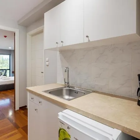Lägenhetshotell Arditou Akropolis Apartments-suites Aten